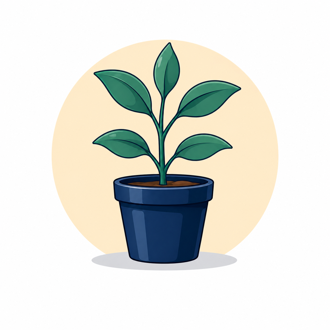 Plan Icon